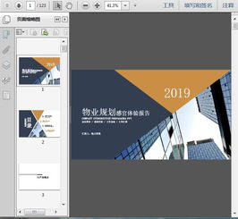2019精品公寓項目物業(yè)規(guī)劃感官體驗報告 清洗及保潔服務(wù)