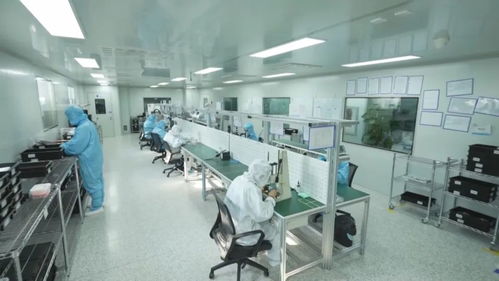 科技強國 創(chuàng)新在吉林發(fā)力，重點產(chǎn)業(yè)科技創(chuàng)新助推創(chuàng)新型省份建設